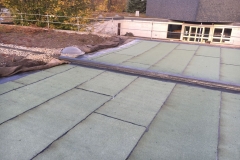 Sanierung von einem  alten Kiespressdach